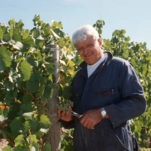 Casa Larga Vineyards early years