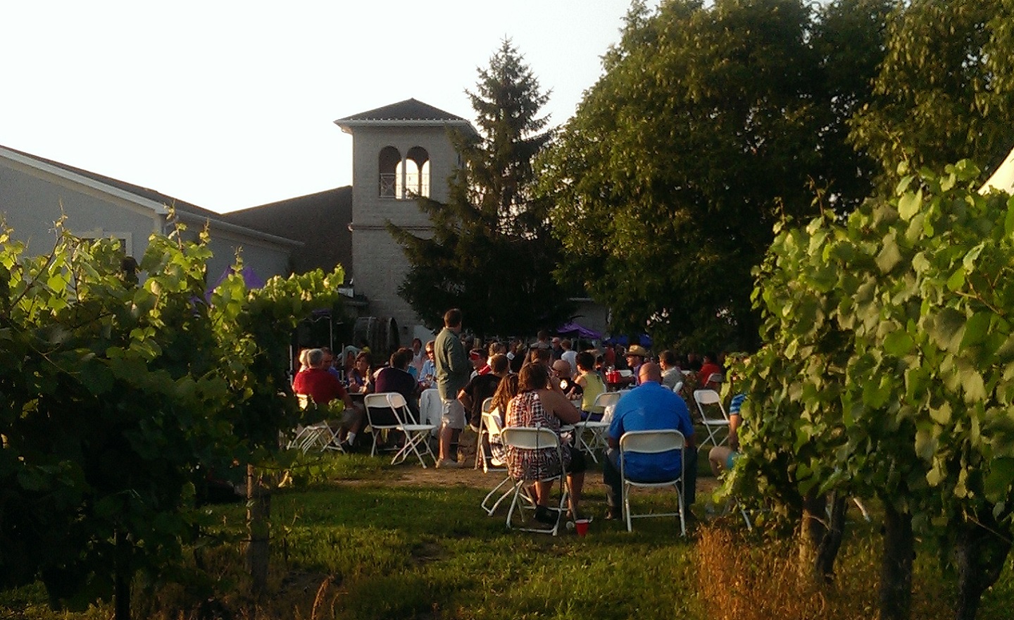 Customers in the vineyards, Casa Larga Vineyards