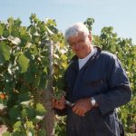 Mr C in the vineyards, Casa Larga Vineyards