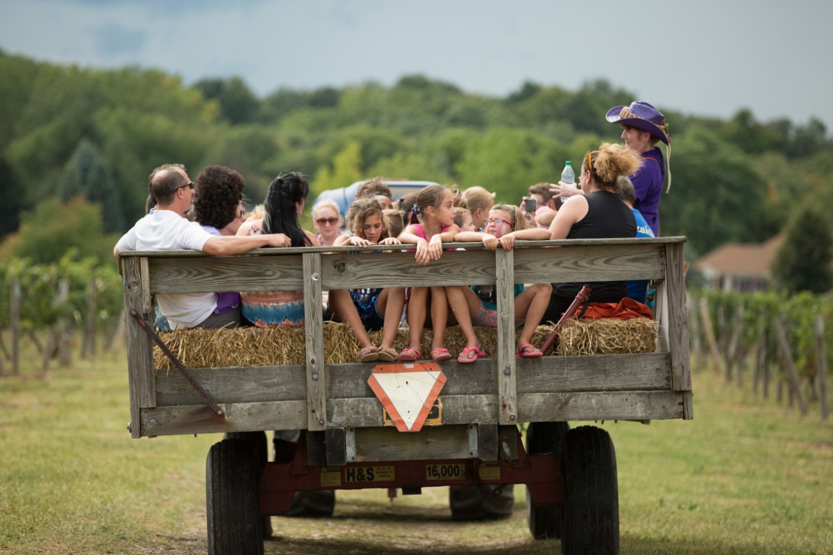 Hay ride, Purple Foot Festival at Casa Larga Vineyards