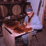 Mr. C, Founder of Casa Larga Vineyards, hand grafting vines in the cellar