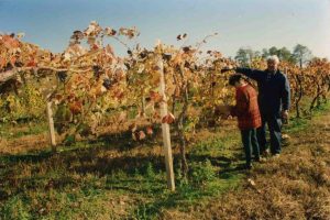 Mr C and Mrs C in the vineyards