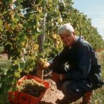 Mr C with his harvest