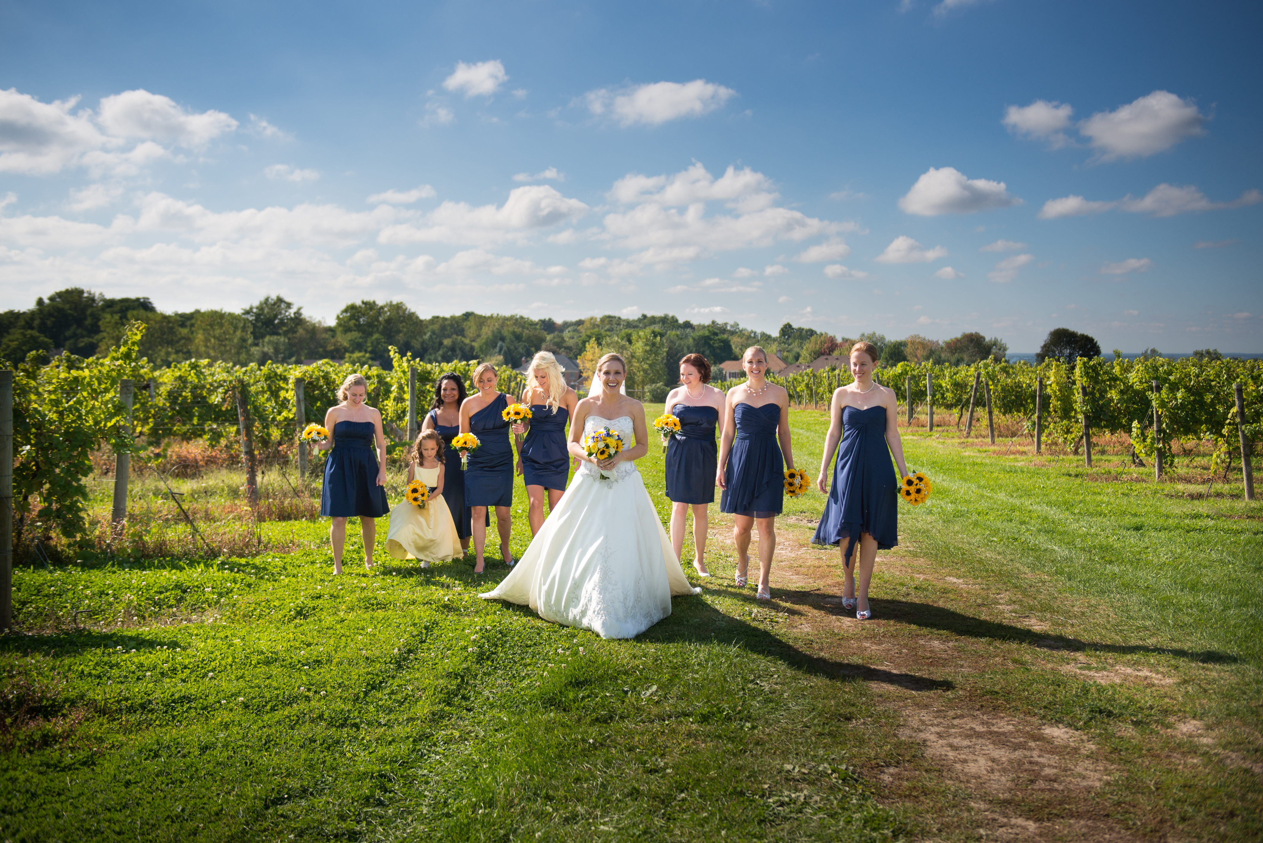 Bridal Party in the Vineyards, Wedding Receptions and Ceremonies at Casa Larga Vineyards