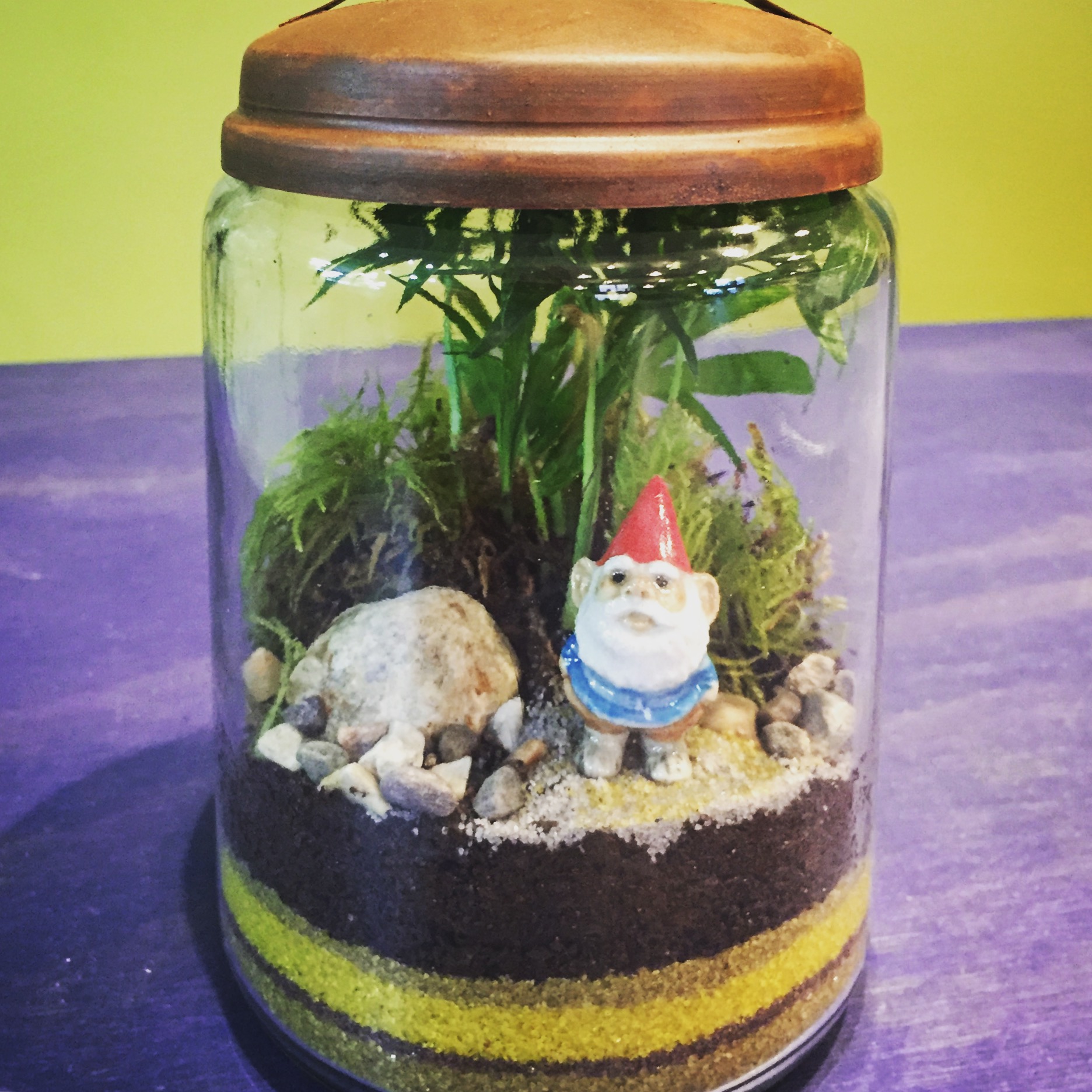 Terrarium for Sip and Plant Series at Casa Larga Vineyards
