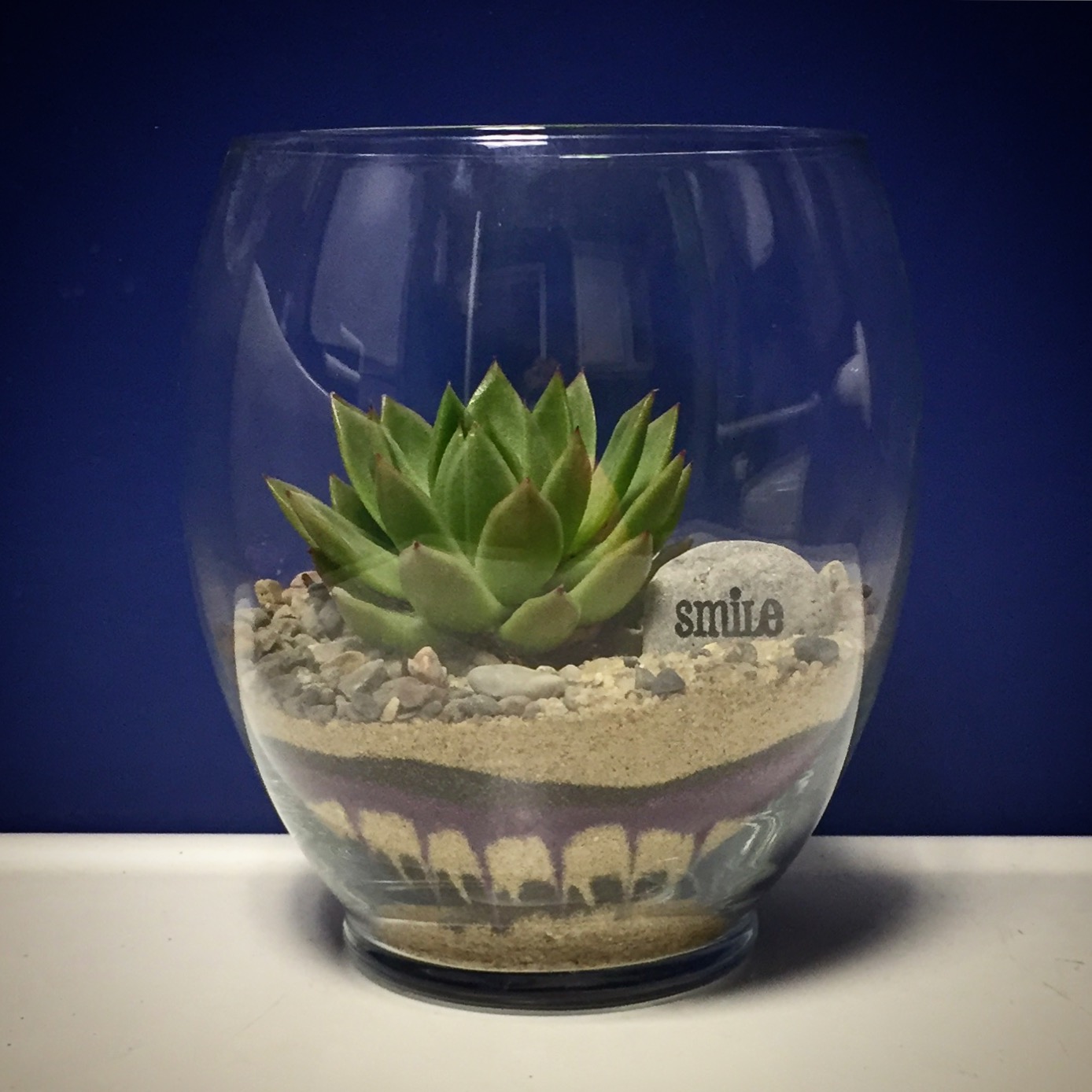 Adult Succulent Workshop for Sip and Plant Series at Casa Larga Vineyards