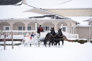 Horse and carriage, Wedding Ceremonies and Receptions at Casa Larga Vineyards