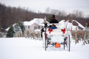 Horse and carriage, Wedding Ceremonies and Receptions at Casa Larga Vineyards