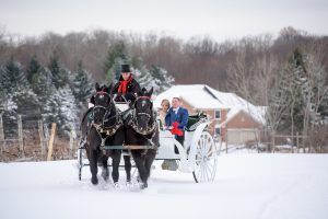 Horse and carriage, Wedding Ceremonies and Receptions at Casa Larga Vineyards