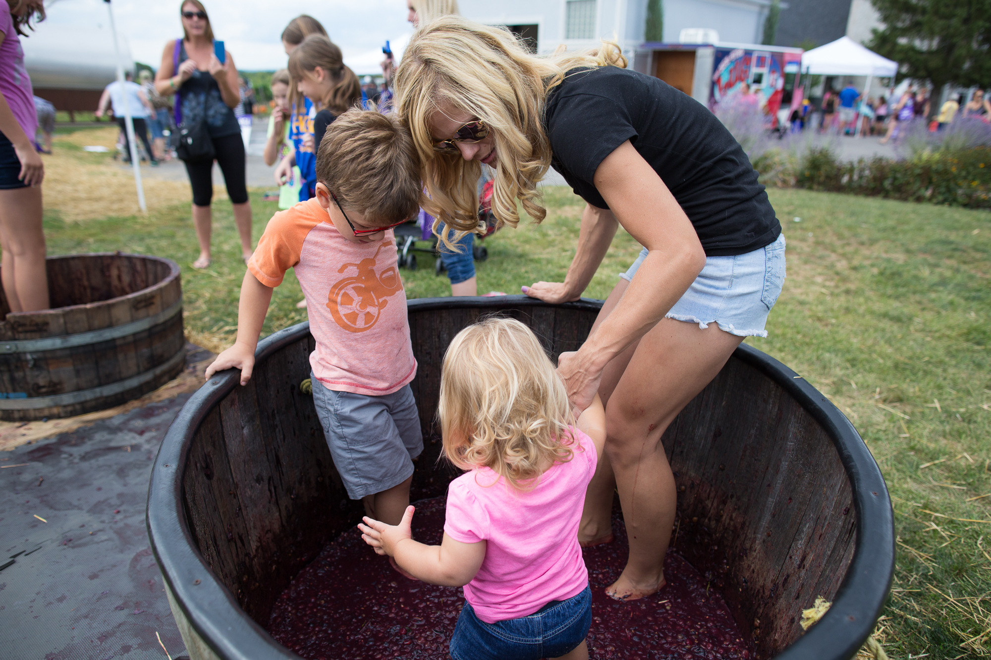 Family stomping grapes, Purple Foot Festival at Casa Larga Vineyards