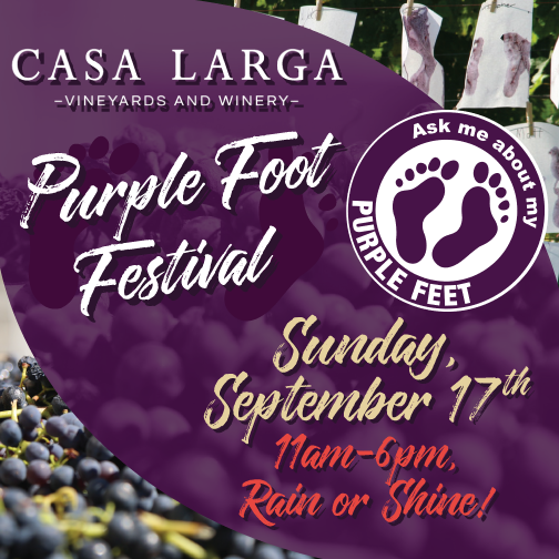 Casa Larga Vineyards Purple Foot Festival 2018