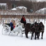 Horse and Carriage, Winter Wedding, Weddings and Ceremonies at Casa Larga Vineyards