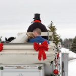 Horse and Carriage, Winter Wedding, Weddings and Ceremonies at Casa Larga Vineyards