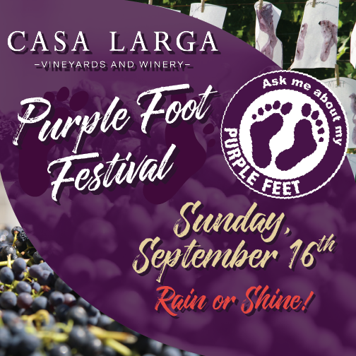 Purple Foot 2018 at Casa Larga Vineyards
