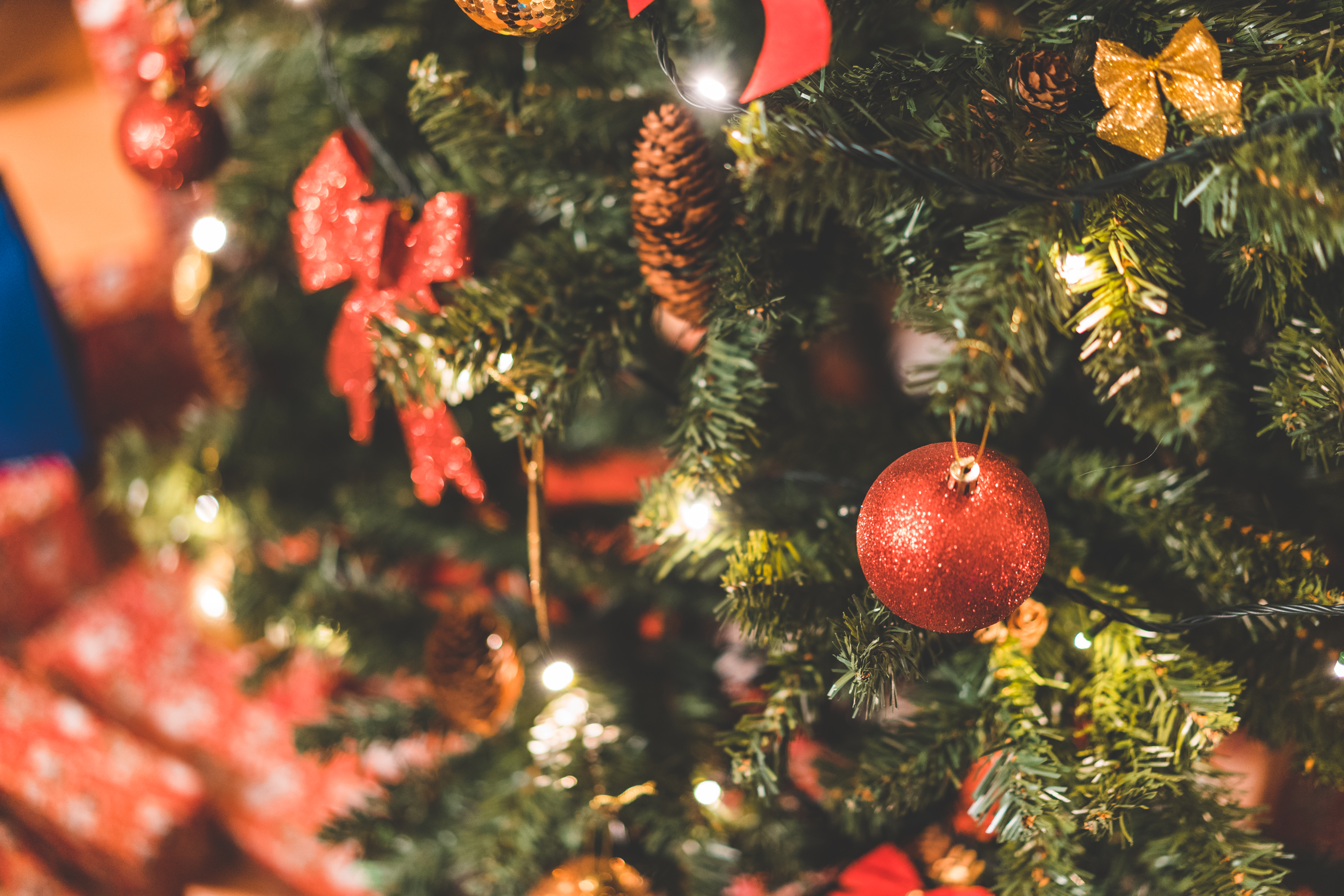 Christmas tree with lights and ornaments, Brunch with Santa at Casa Larga Vineyards