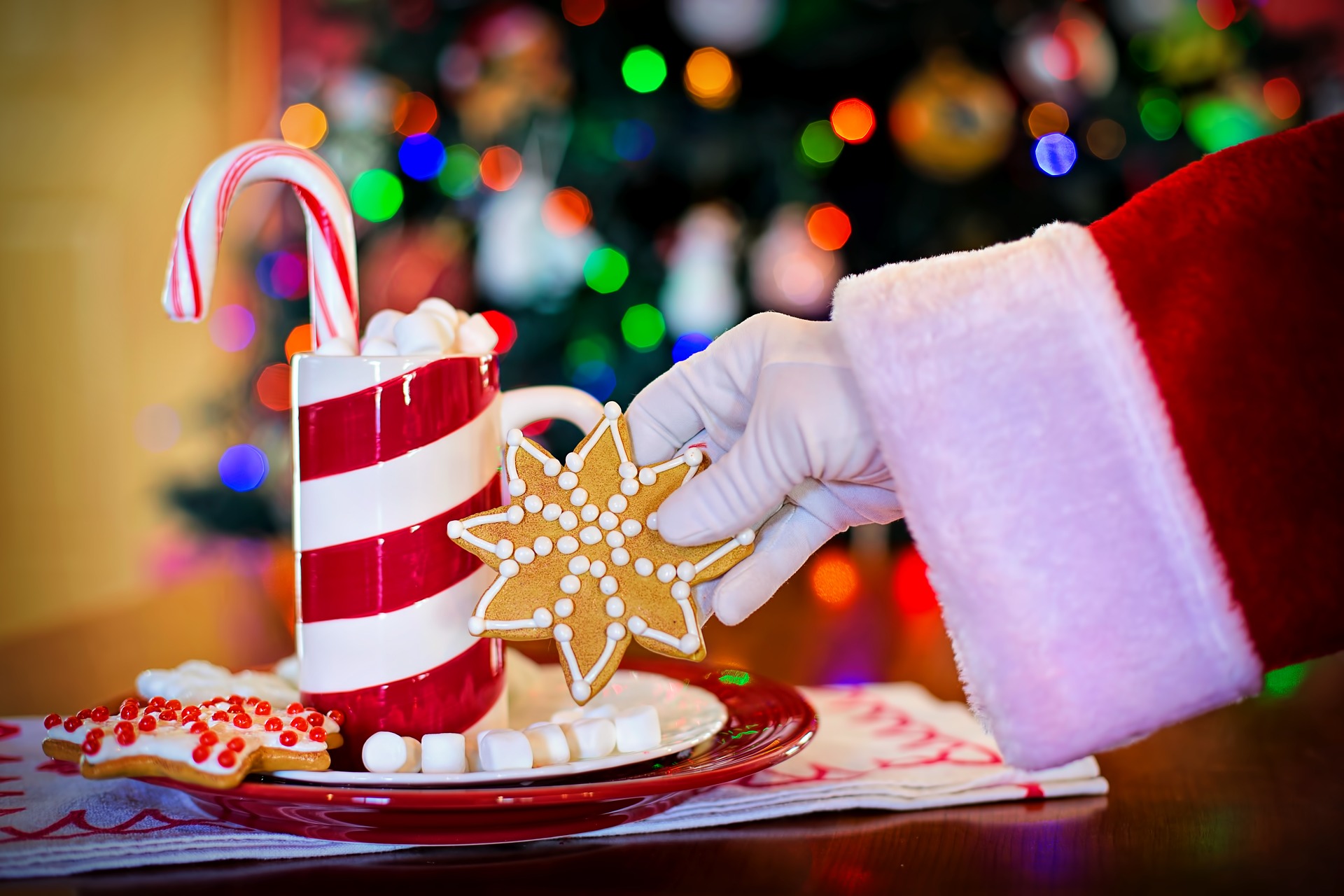 Santa with milk and cookies, Brunch with Santa at Casa Larga Vineyards