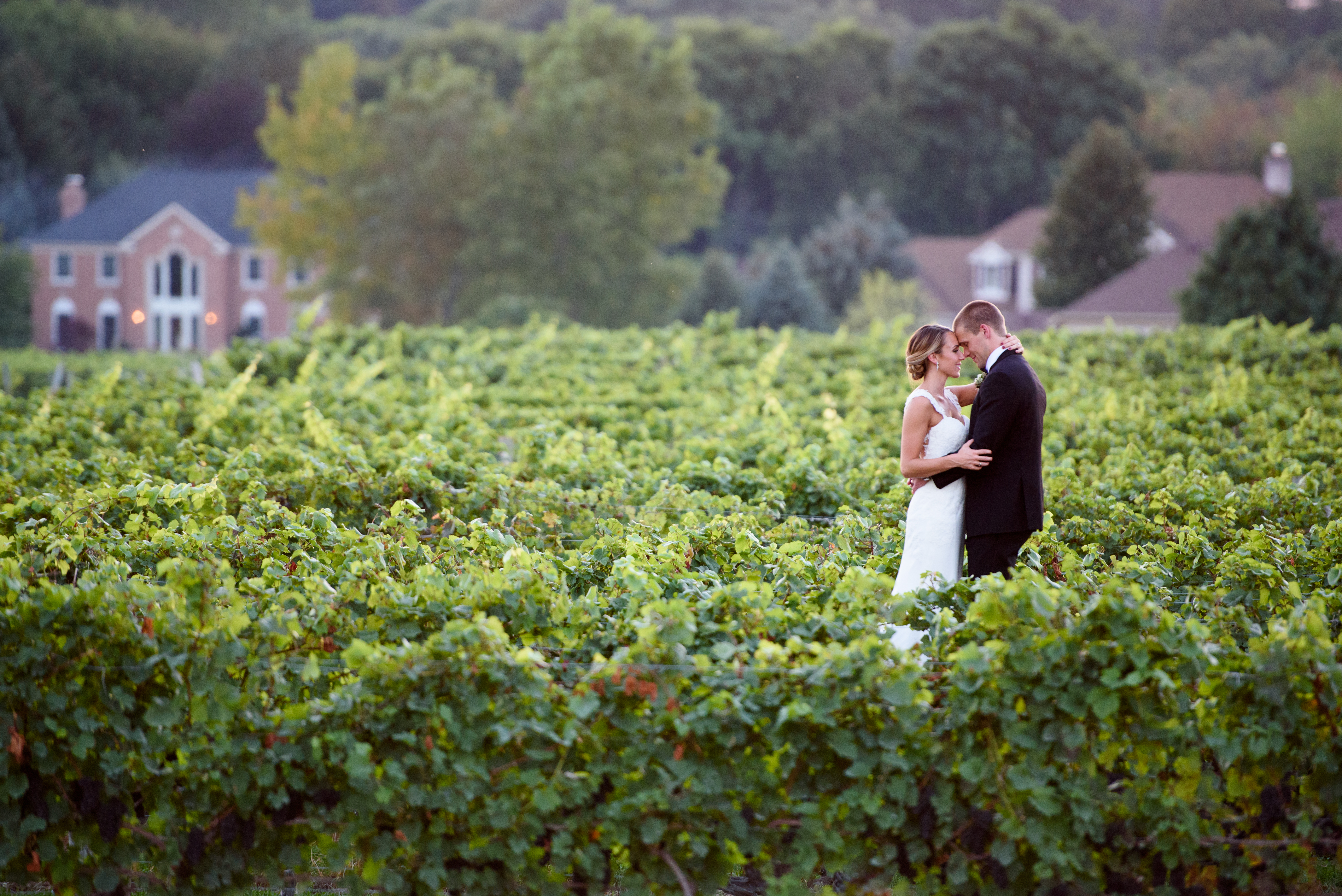 Couple in the Vineyards, Wedding Ceremonies and Receptions at Casa Larga Vineyards