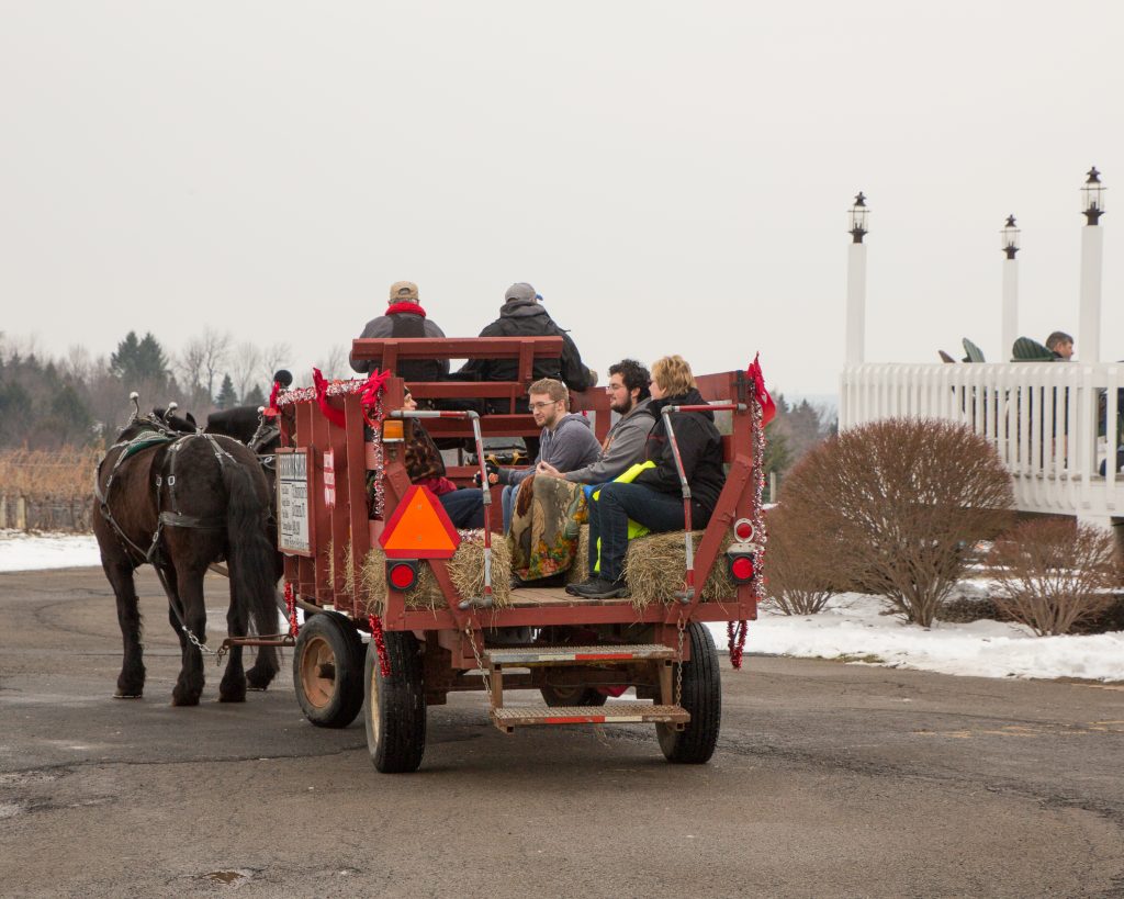 2022 NYS Ice Wine & Culinary Festival Casa Larga