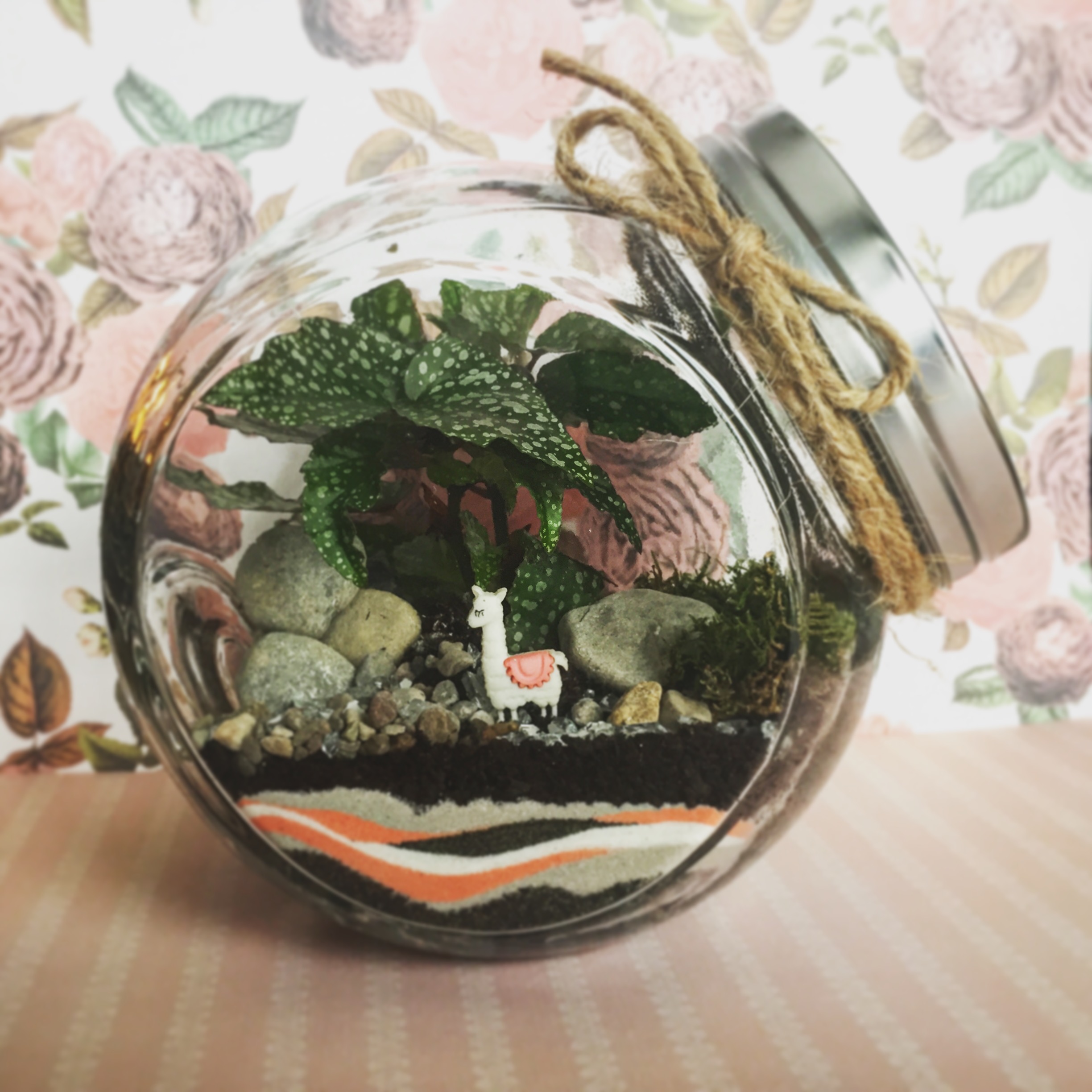 Llama Terrarium Workshop for Sip and Plant Series at Casa Larga Vineyards