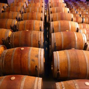 Casa Larga Wine Barrels at Casa Larga Vineyards