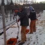 2012 harvest photo