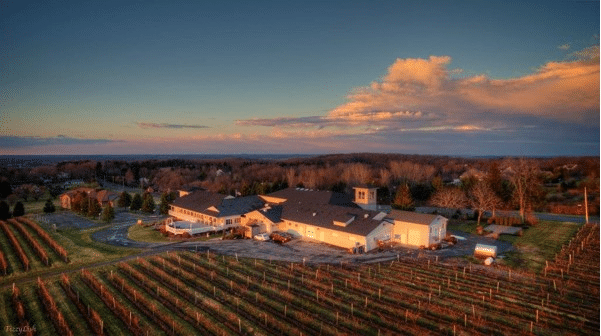 aerial vineyards